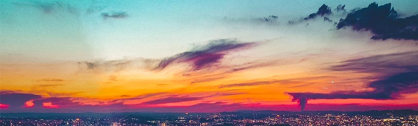 邵东茶虫网_邵东品茶